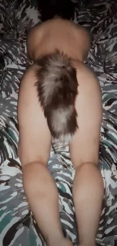 Kitty tail 🤩🥳🥳
