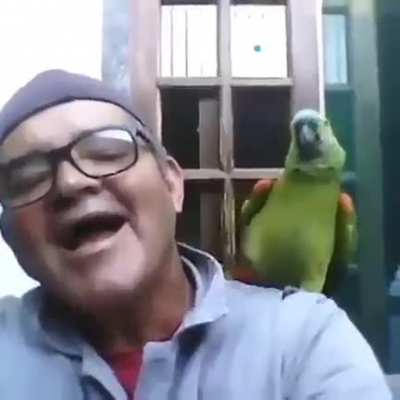 &iexcl;&iexcl;A!!
