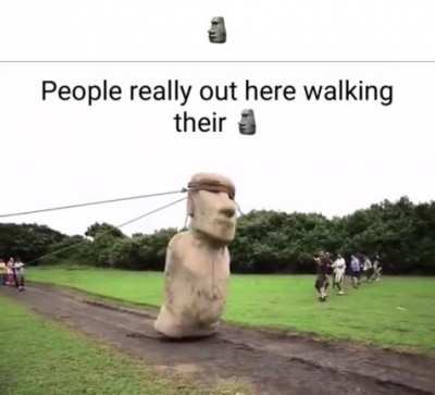 🗿