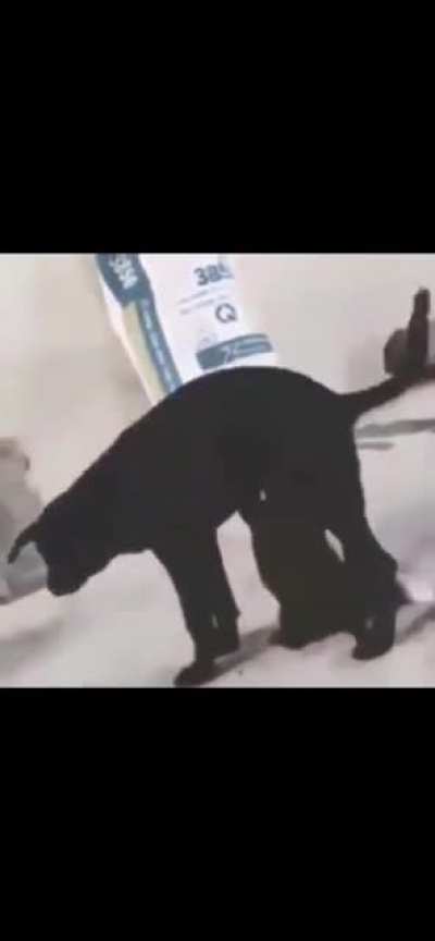 Не тот сосок