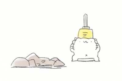 Feline shenanigans