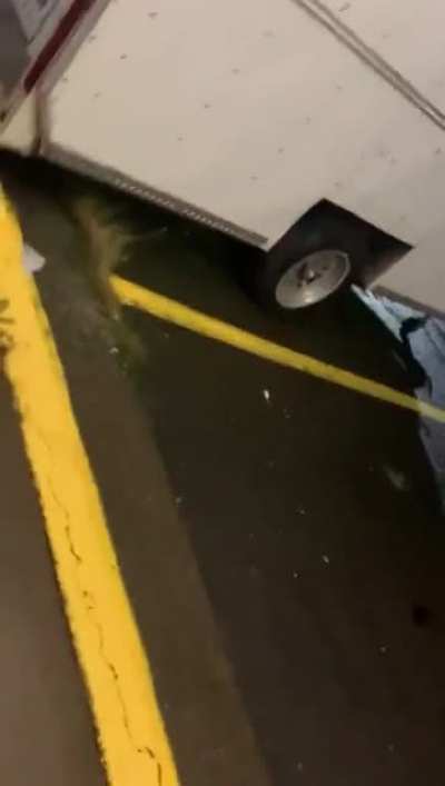 The owner of Dizzy Dean&rsquo;s Donuts in Eugene, OR dumping cold water on a homeless woman then blaming her for it