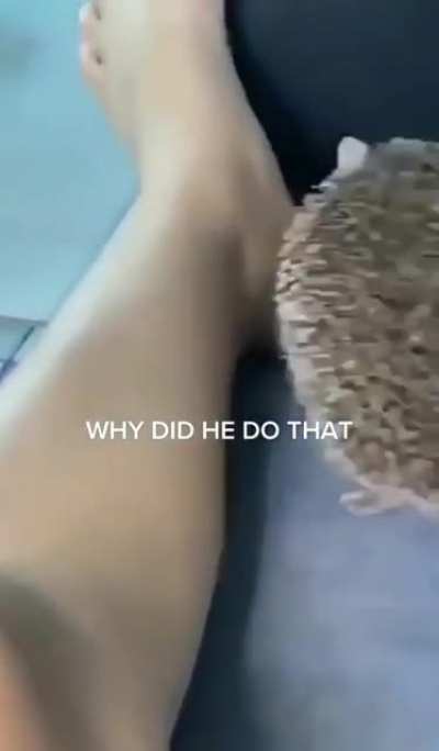 The hedgehog changed teams
