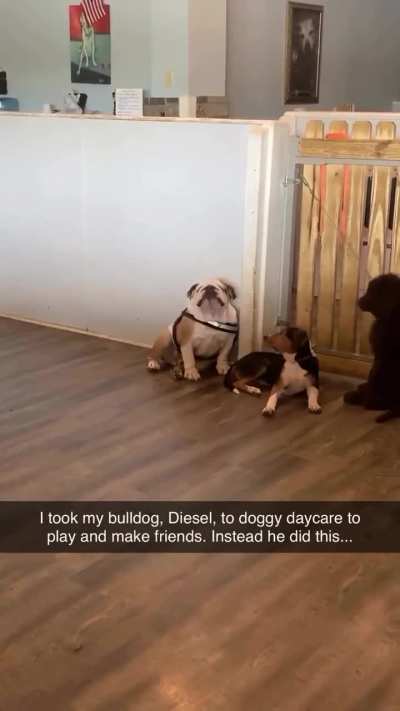 What did he say ?