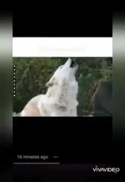 Press F