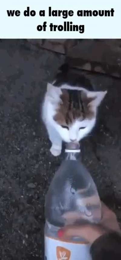 Bruh