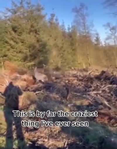 this is how you give up on your Hunting hobby