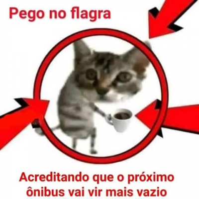eu_nvr