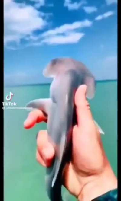 Yuh