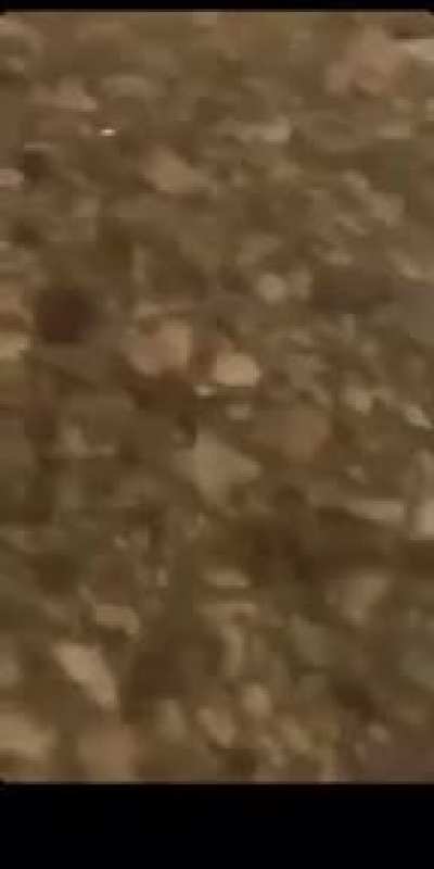Dude smashes into oncoming traffic
