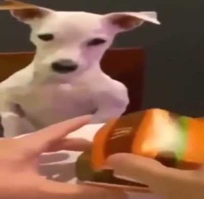 🗿
