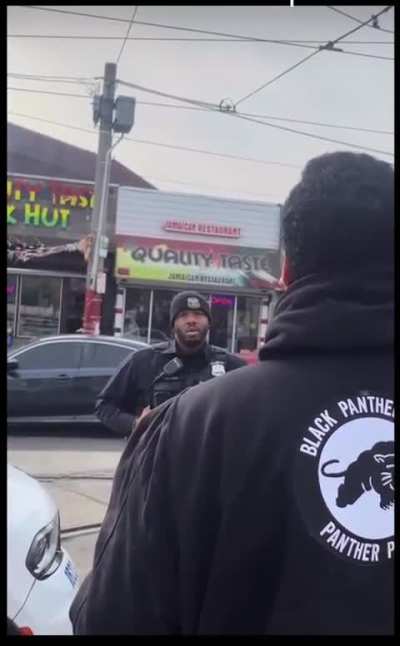 Black Panthers