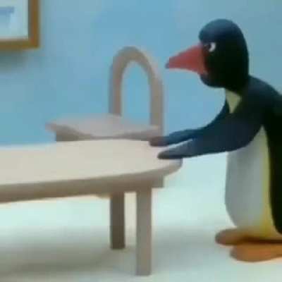 noot noot