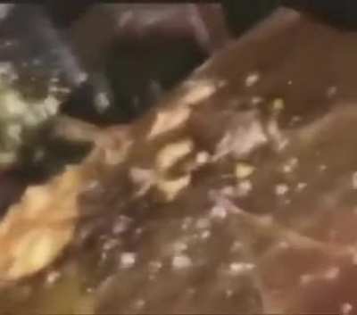 Muquinha fiquei sabendo q seu aniversario esta chegando, cuidado