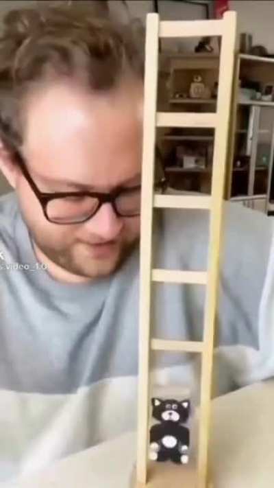 Poor kitty