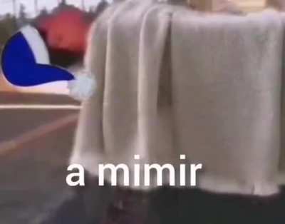 Skatista fds