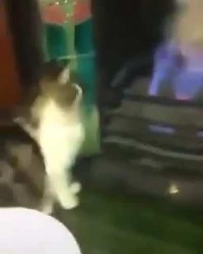 TO-