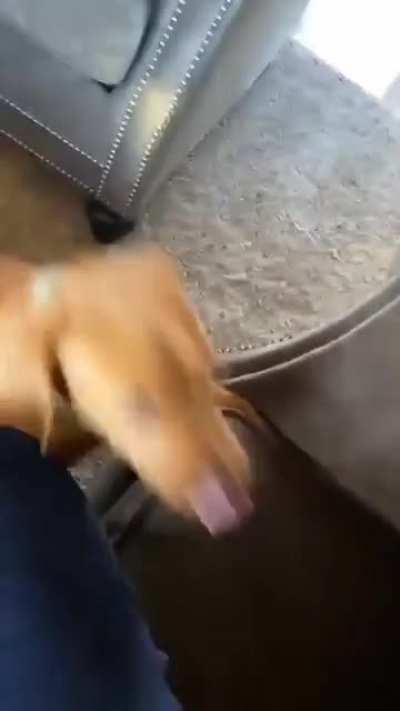 Sorry if this is a repost.