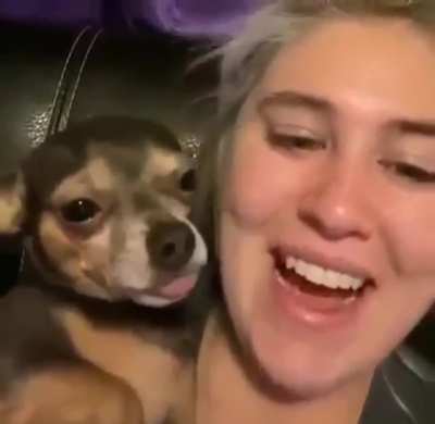 Does a perfectly cut yawn count?