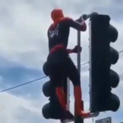 Spider man?