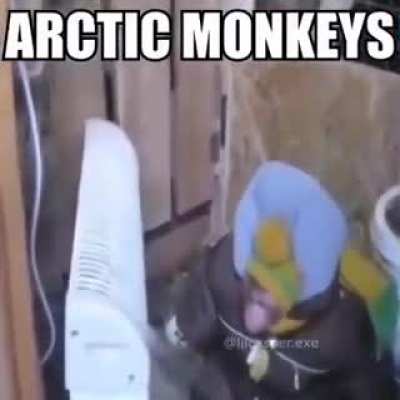 Monos en la Antártica o algo así