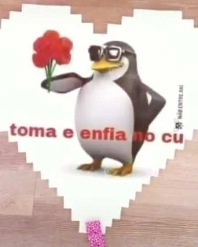 Toma 🌹
