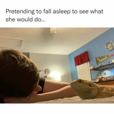 So wholesome