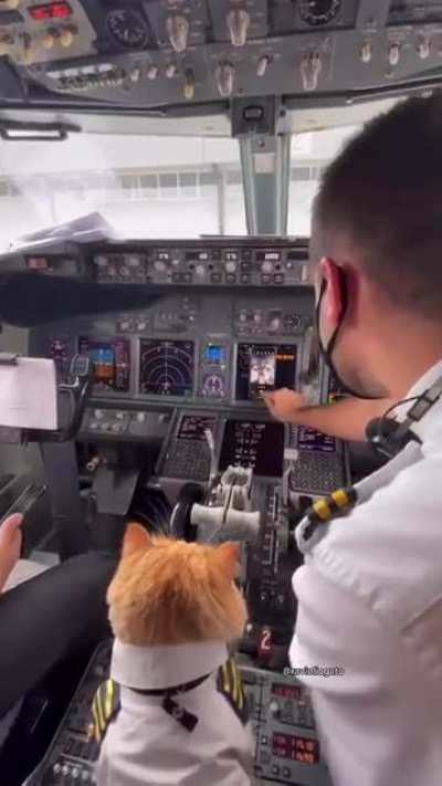 Flight supervisor