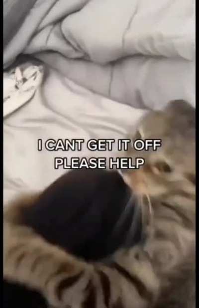rule