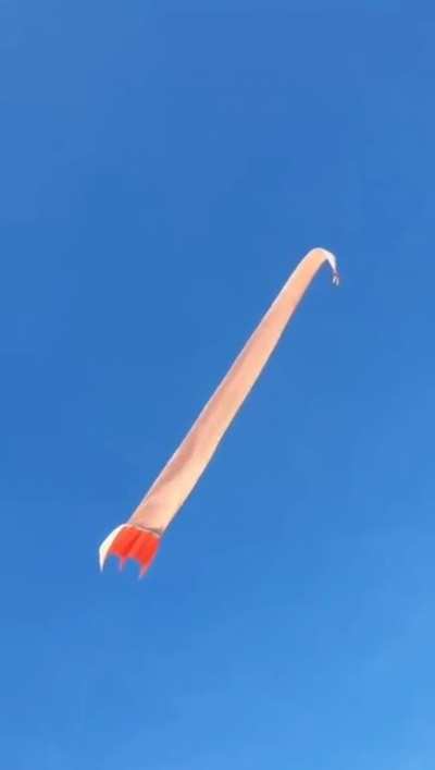 Child entangled and lifted off during kite festival. Rescued.