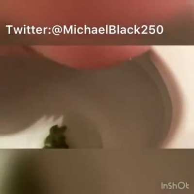 Cute girl shitting on the toilet(@angel.faith on instagram)