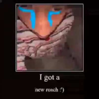 rule