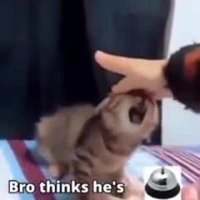 Bro thinks