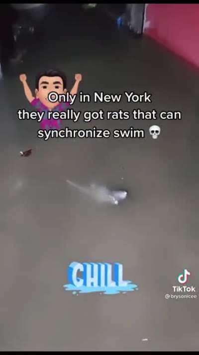 Rats will inherit the Earth