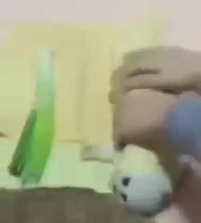 Pussy 🔥 🥵