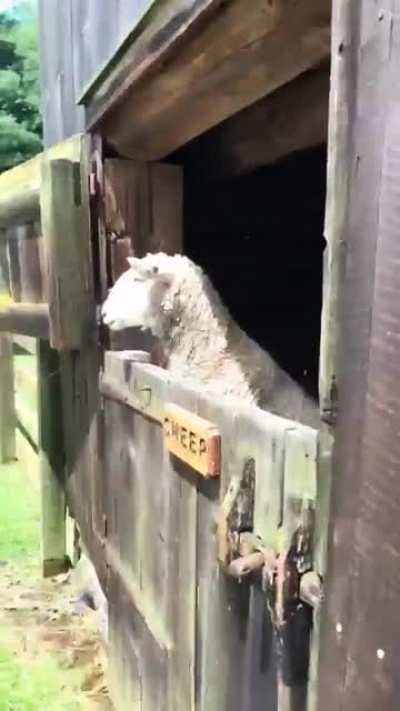 It&rsquo;s not gonna bite you