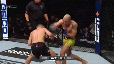 Petr Yan vs Jose Aldo Free Fight