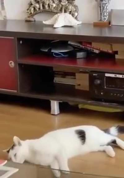 Continue to Sleep