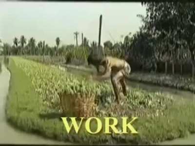 WORK