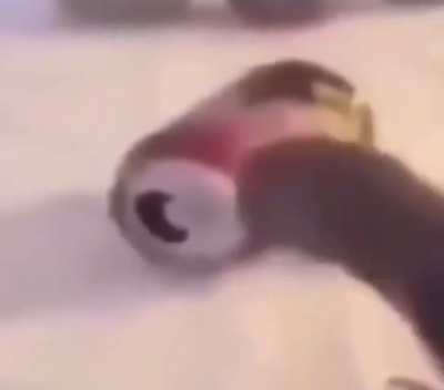 Bird does not support coke or it&rsquo;s derivatives