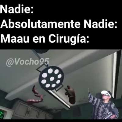 Maau en ciruj&iacute;a Video:  