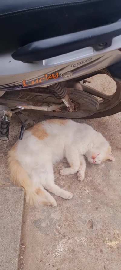 Nivel de Autoridad: cero a la izquierda 😆