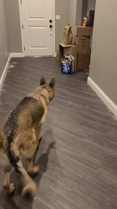 "I'll defend you from this toilet paper monster!"