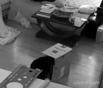 Stupid box....
