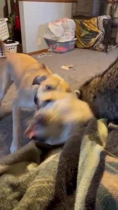 "Stop fighting you two!"