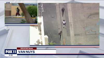 Hijinks in Van Nuys