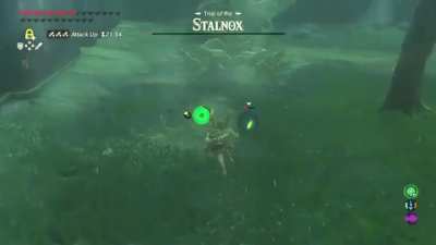 [BOTW] Crying my eyeballs out. Pulled out the sword for ONE second&hellip;
