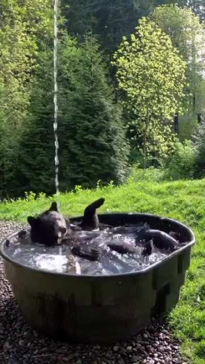 Brent taking a &ldquo;Pool Bath&rdquo; in Serbia.