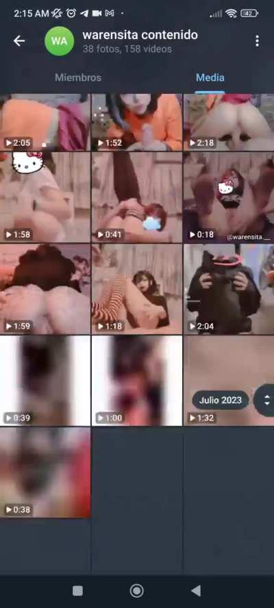 todo el contenido de la warensitaArsmate  
