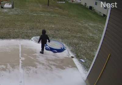 Ice turtle
